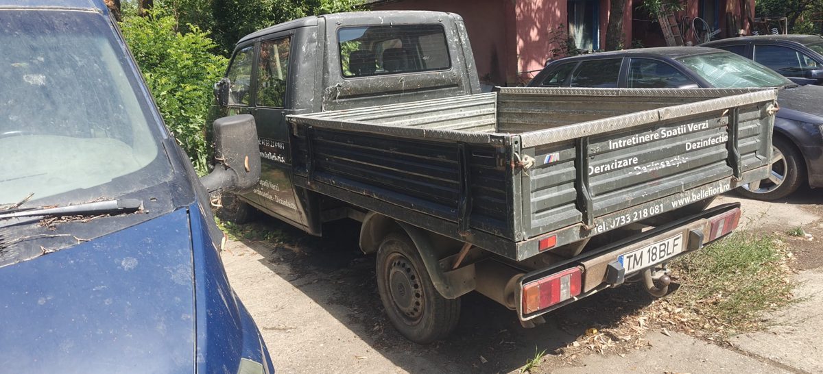 Miniatură 3