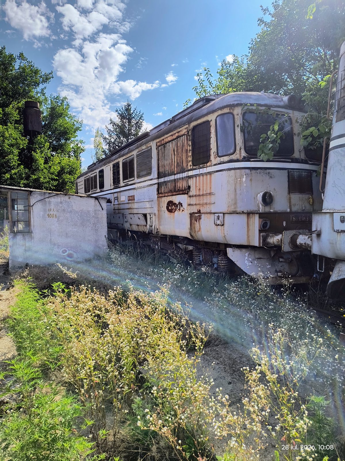 Miniatură 2
