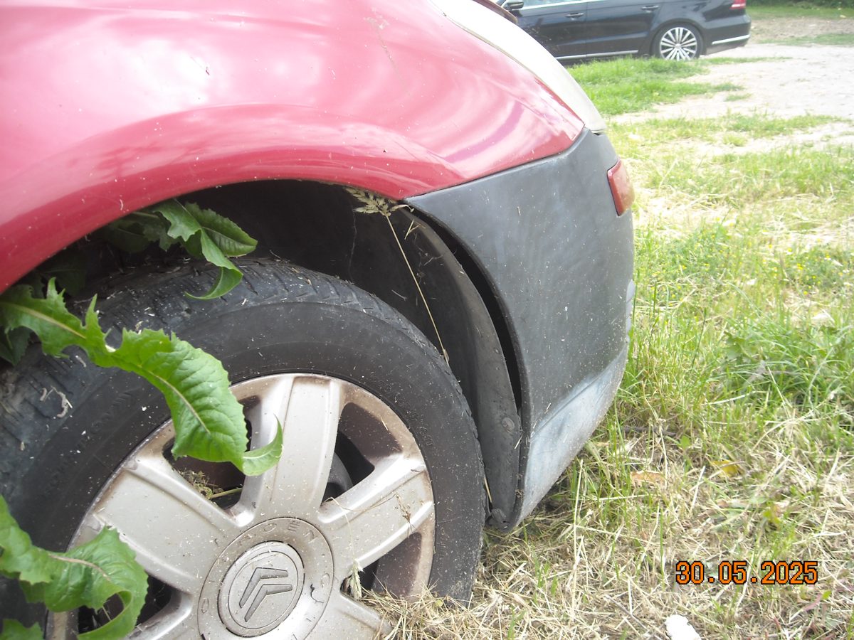 Miniatură 13