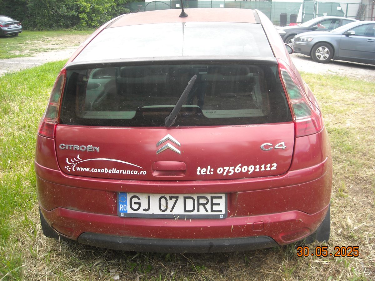 Miniatură 14