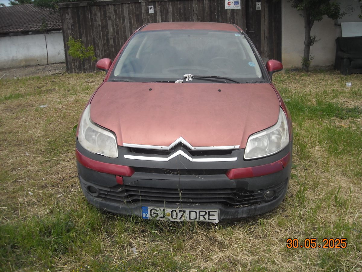 Miniatură 8
