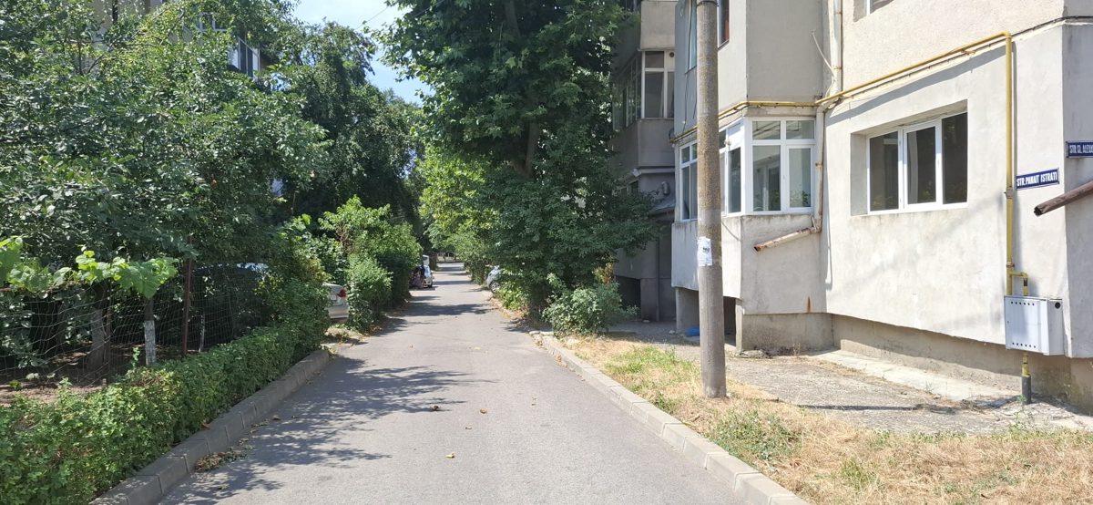 Miniatură 2