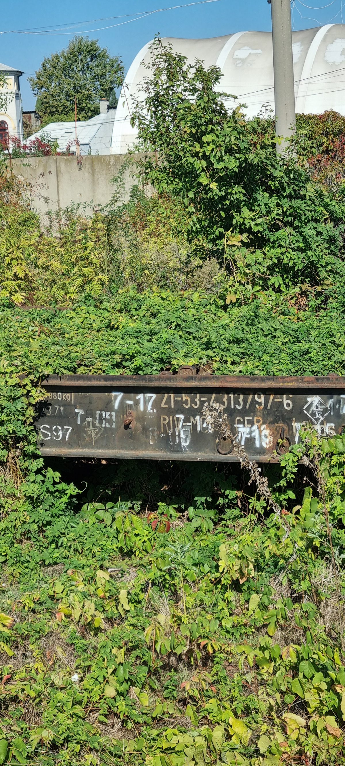 Miniatură 3