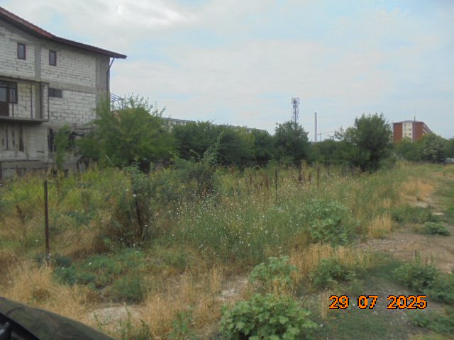 Miniatură 2
