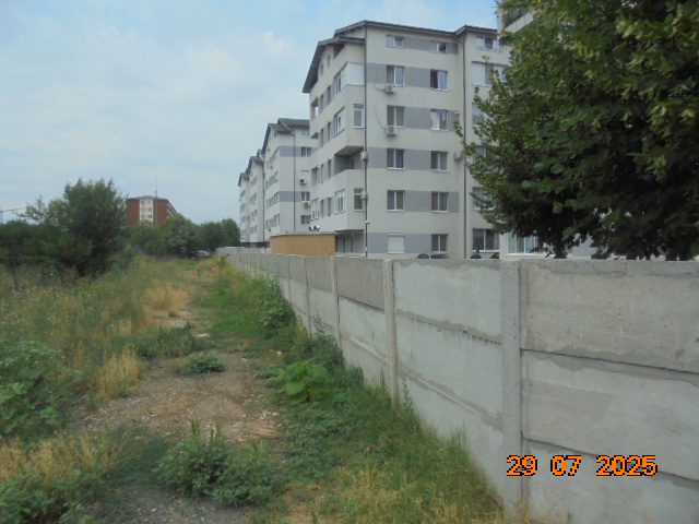 Miniatură 3