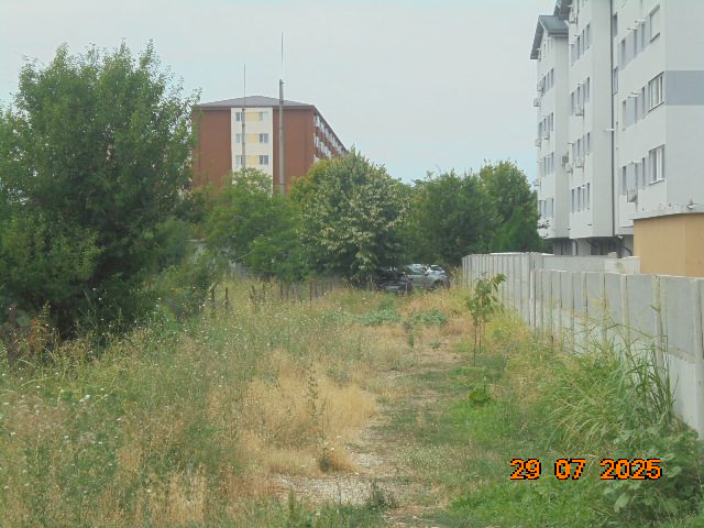 Miniatură 4