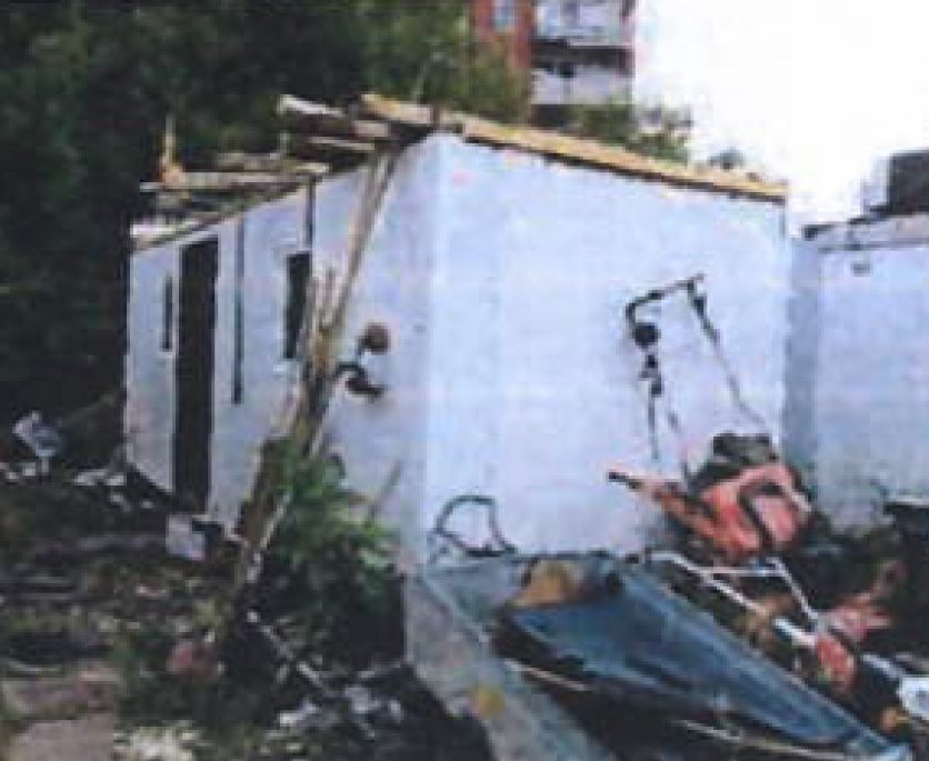 Miniatură 2