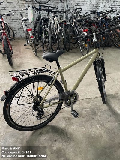 Bicicleta- Any