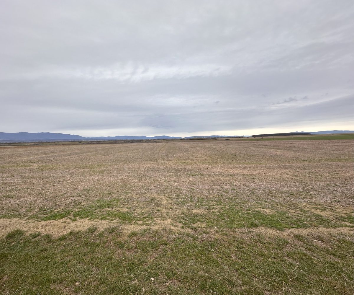 cota de 1/1 din Teren Extravilan/Arabil , 23000 MP, Pilu, jud. Arad 1