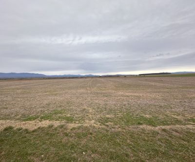 cota de 1/1 din Teren Extravilan/Arabil , 23000 MP, Pilu, jud. Arad