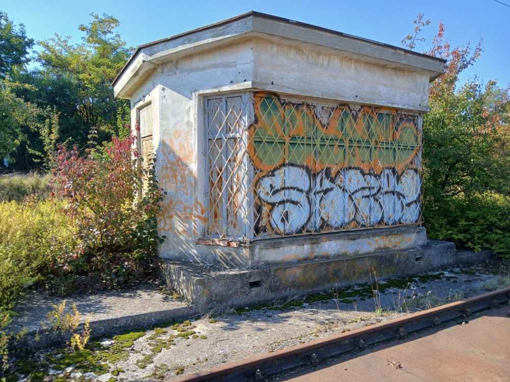 Miniatură 3