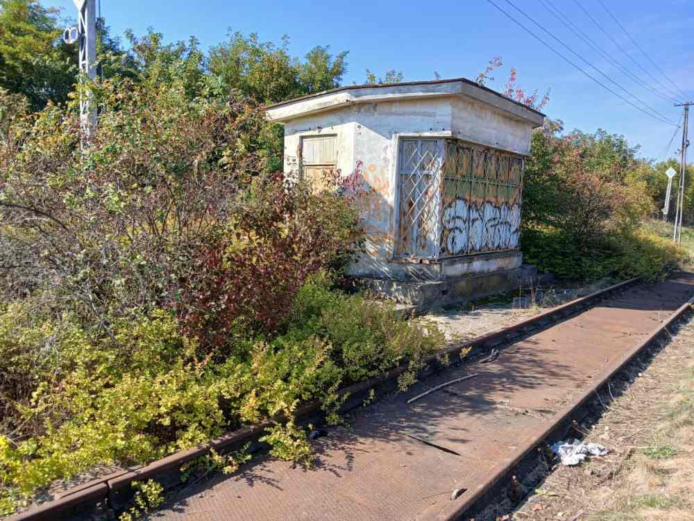 Miniatură 4