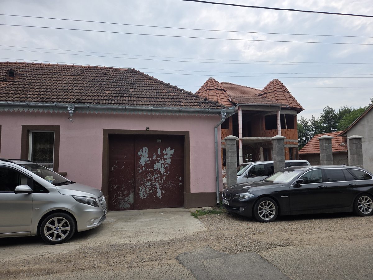 Miniatură 2