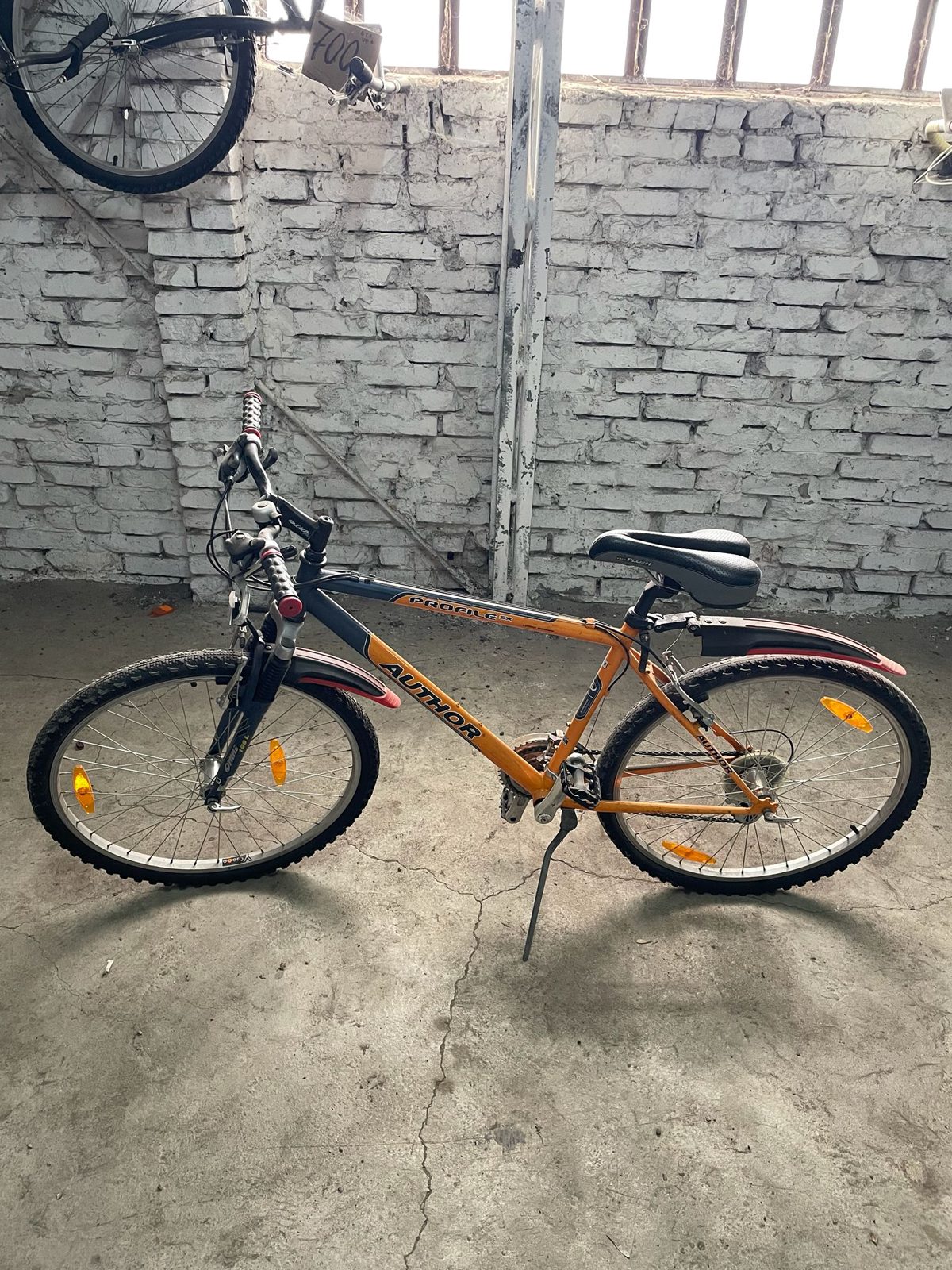 Bicicleta- Author 1
