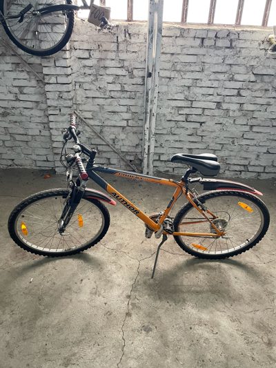 Bicicleta- Author