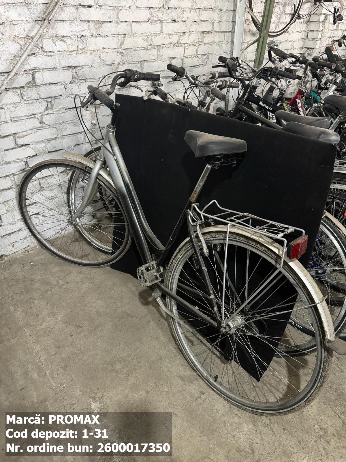 Bicicleta- ProMax 1