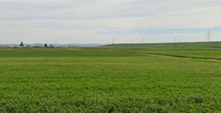 TEREN EXTRAVILAN IN SUPRAFATA DE 1959 MP, INREGISTRAT IN CF NR. 63021 TURDA 1