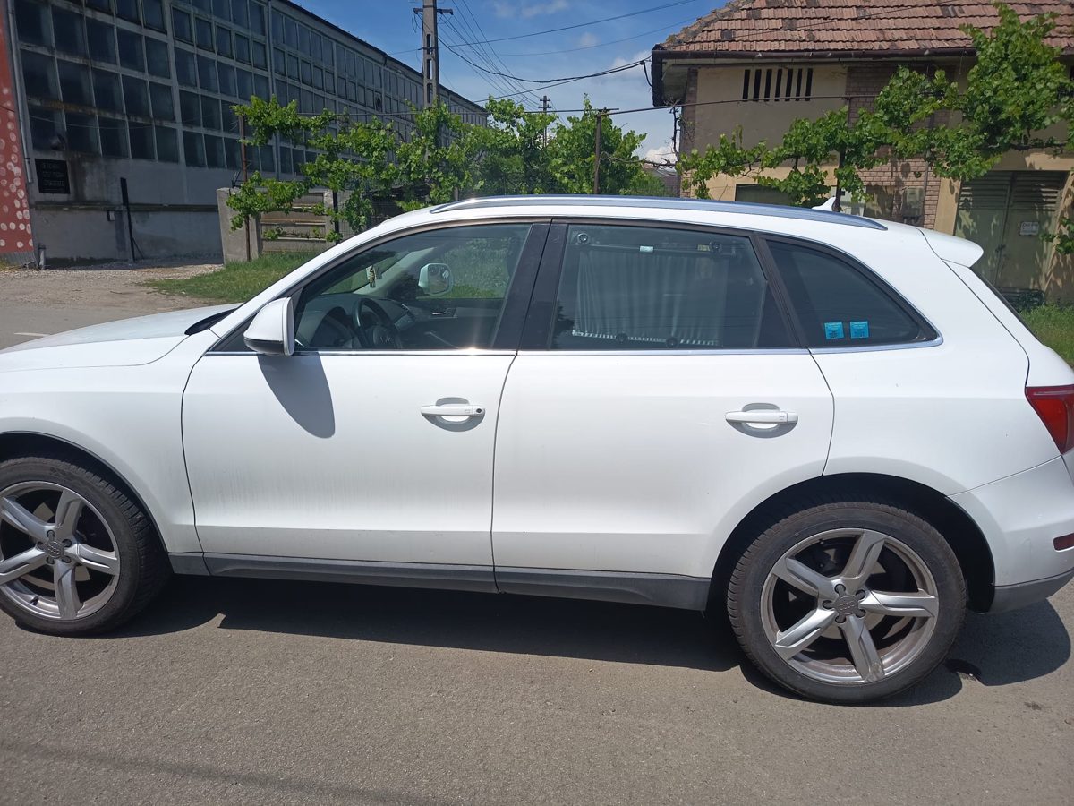 Miniatură 7