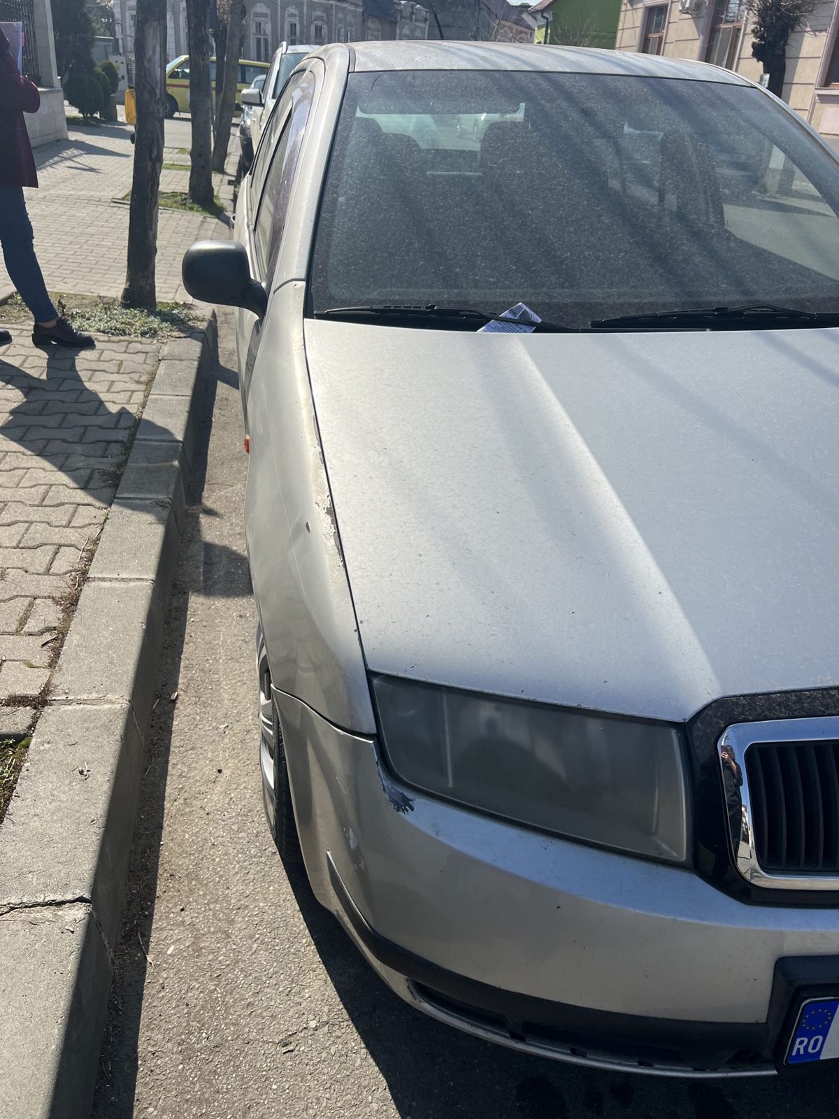 Miniatură 3