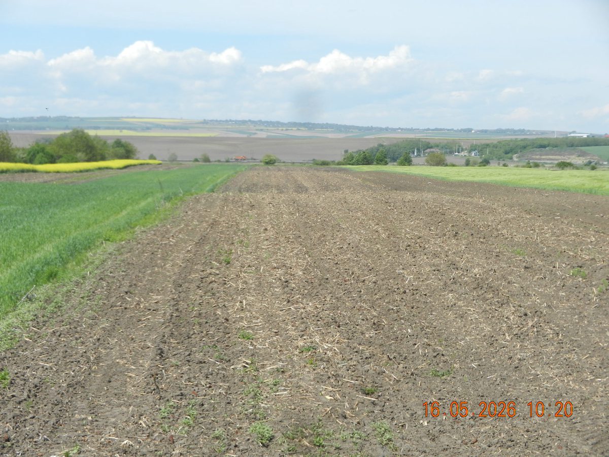 Teren agricol - in suprafata de 4731 MP 1