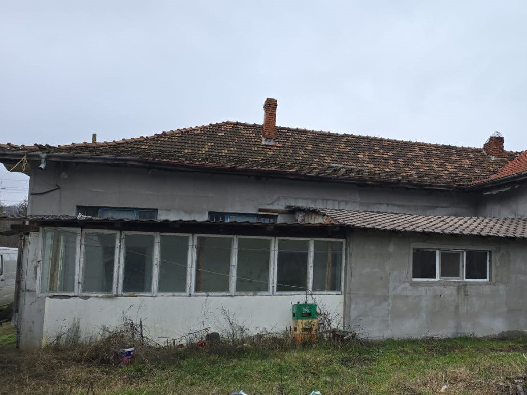 Miniatură 3