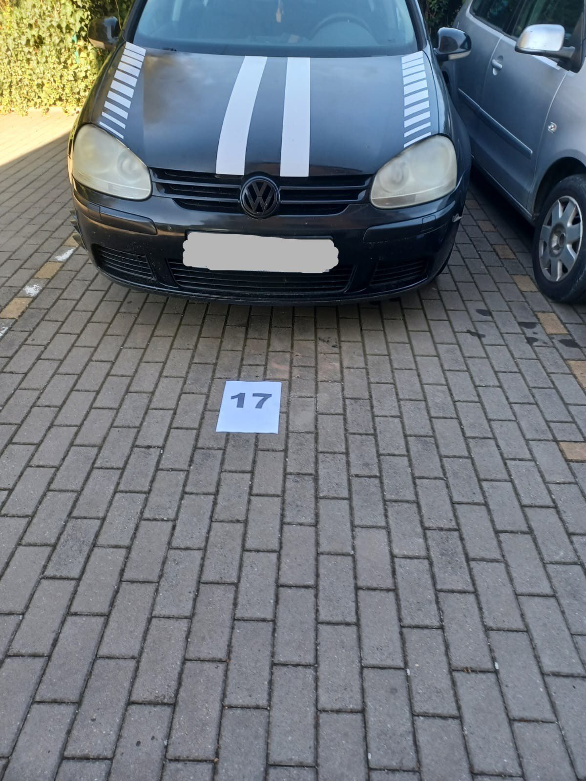 Miniatură 2