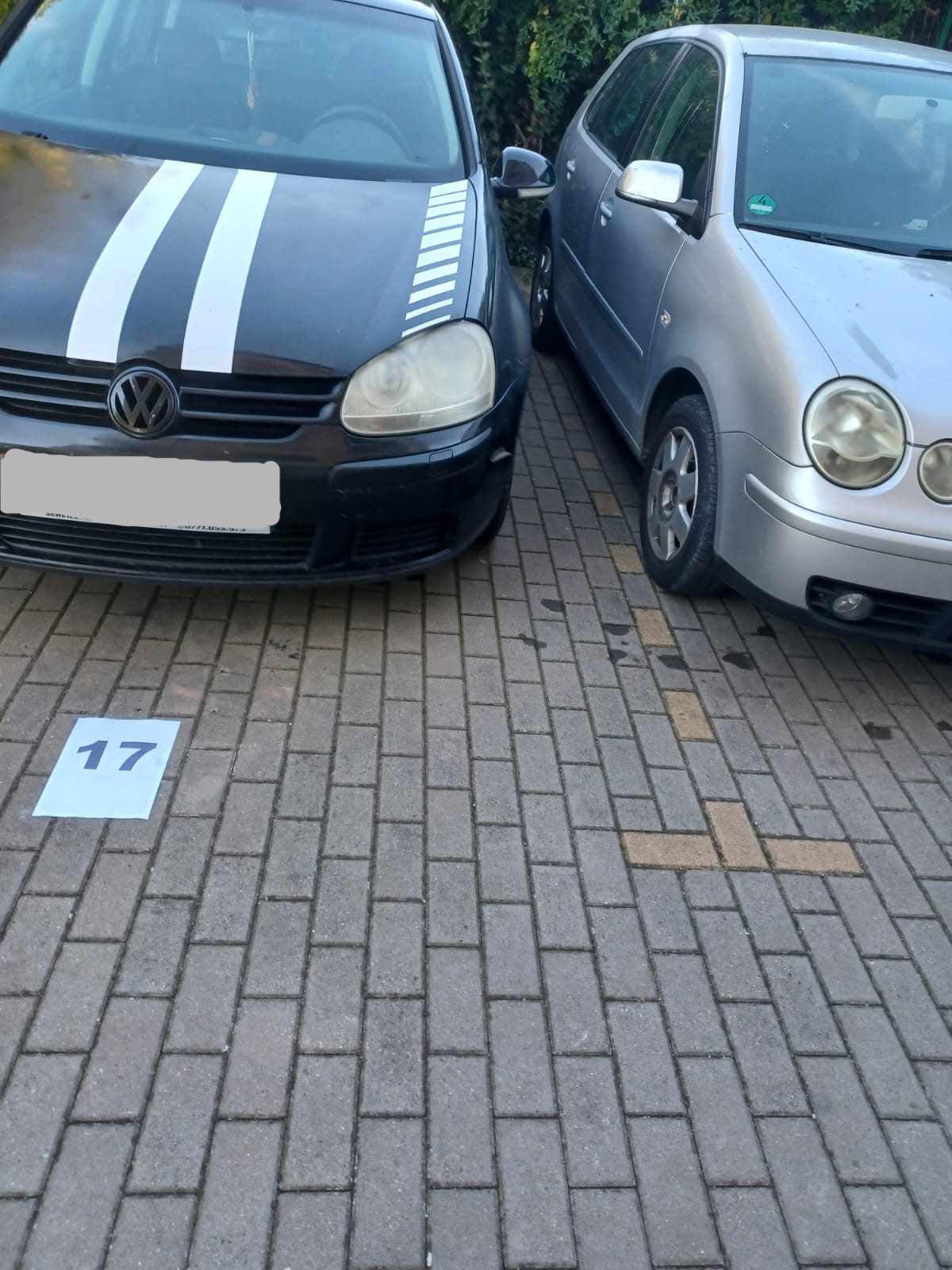 Miniatură 4