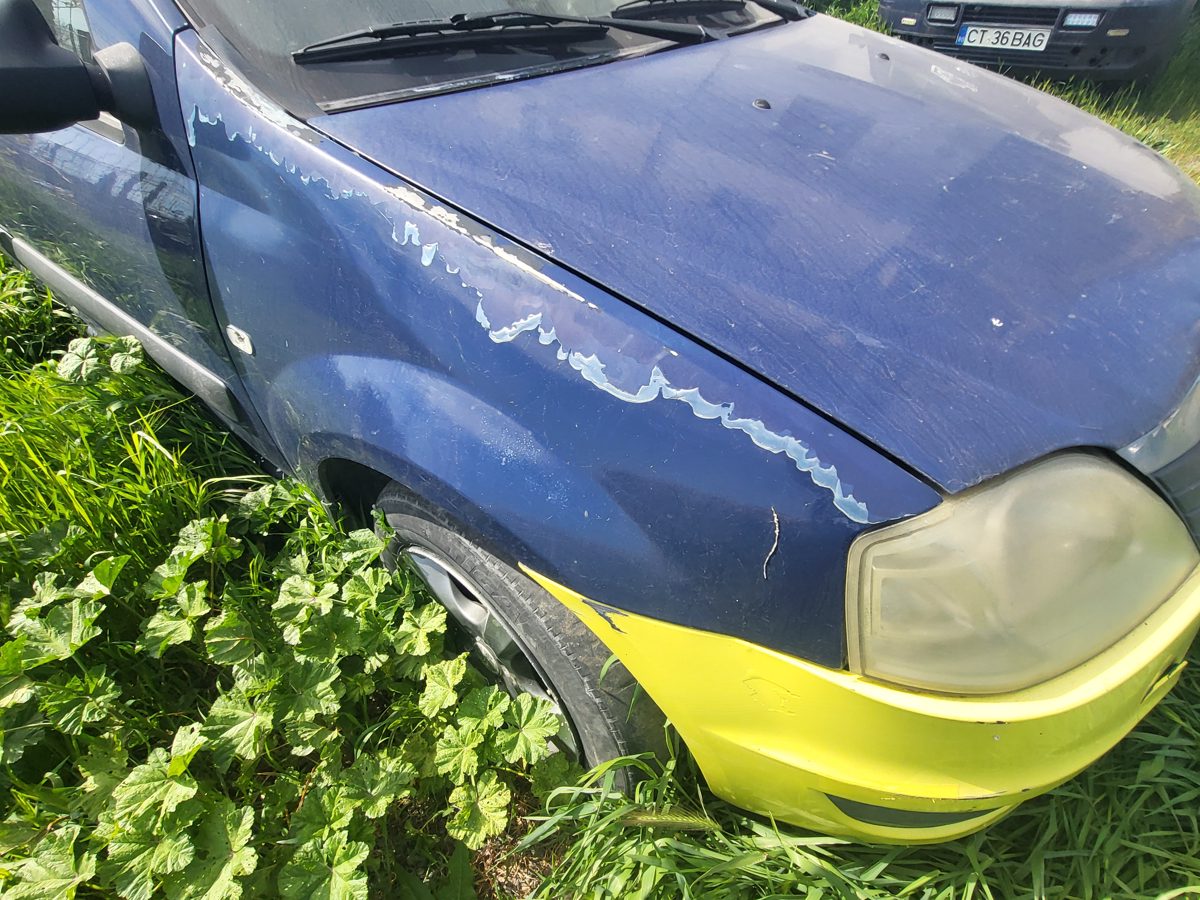 Miniatură 6