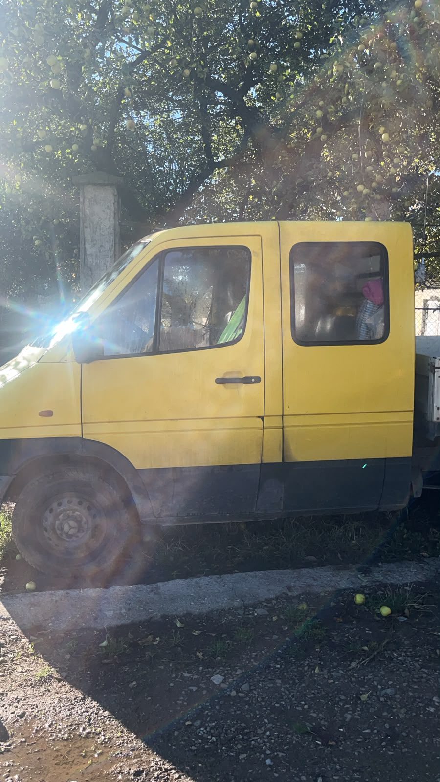 Miniatură 3