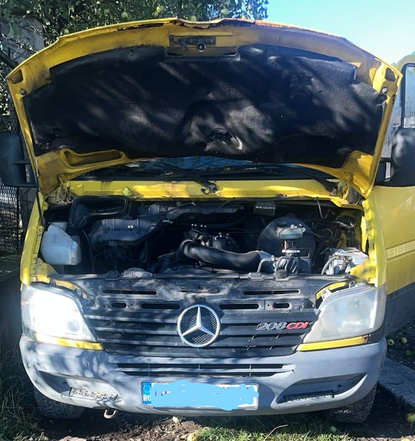 Miniatură 4