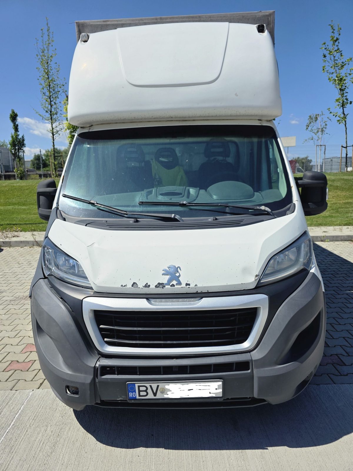 Miniatură 6