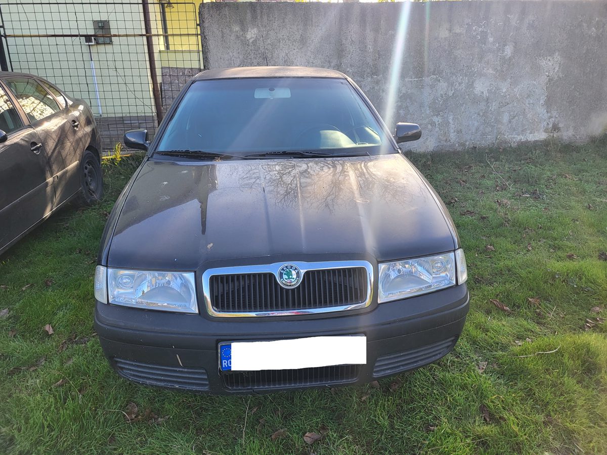 Miniatură 2