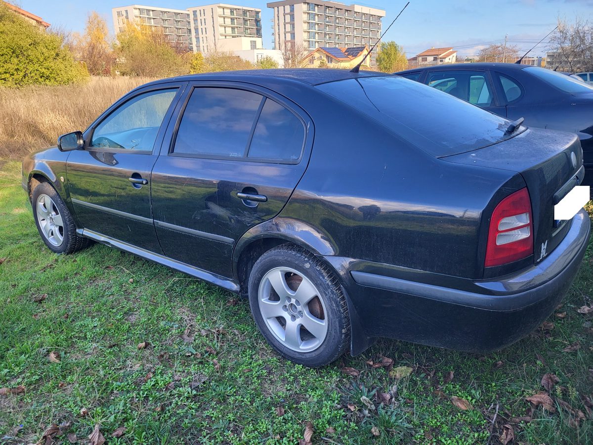 Miniatură 4