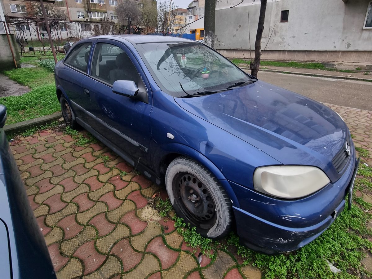 Miniatură 3