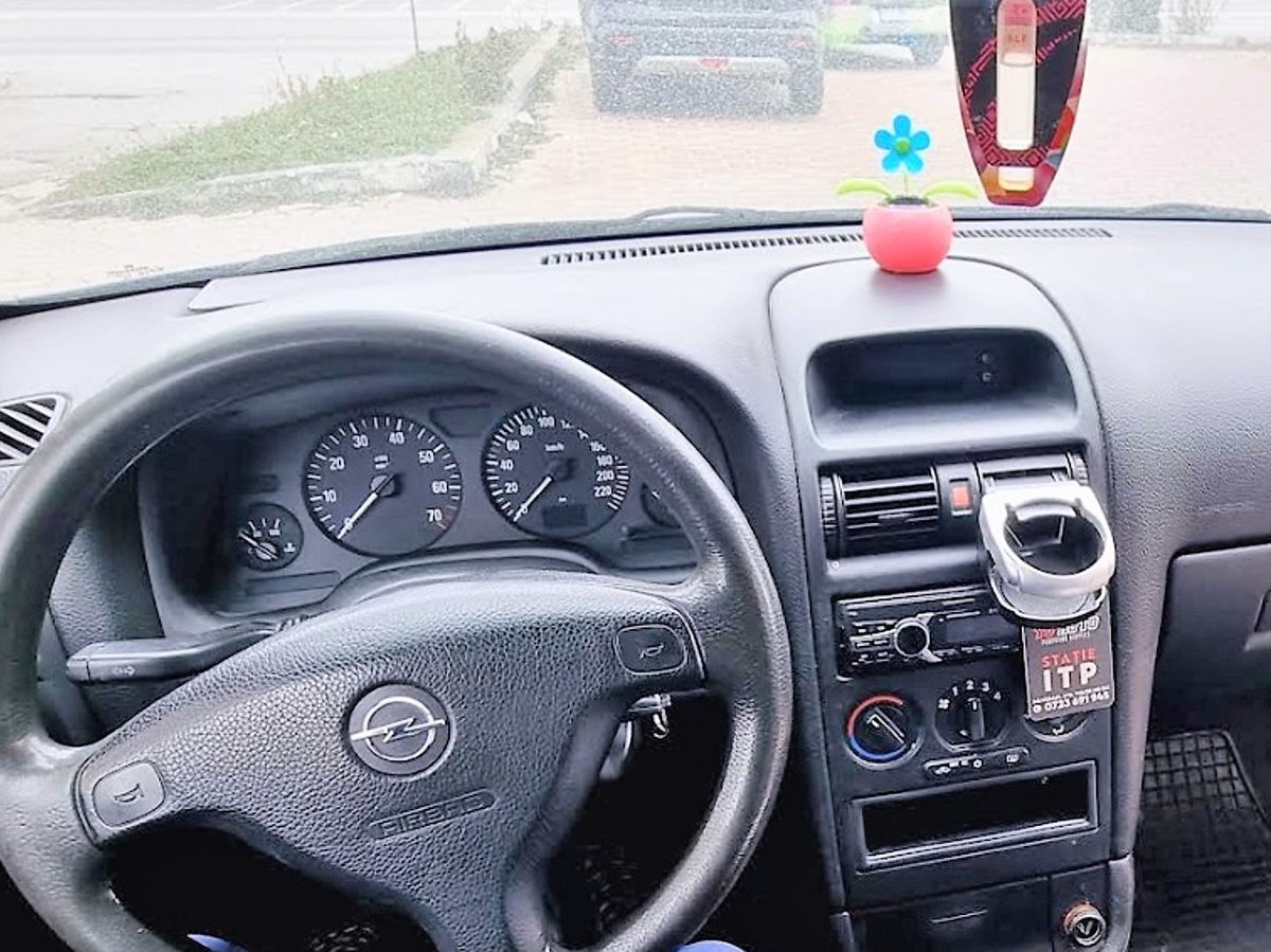 Miniatură 10