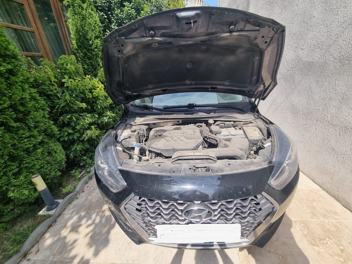Miniatură 9