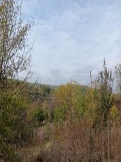 teren intravilan- pasune in suprafata de 126 MP