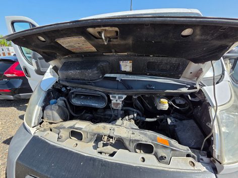 Miniatură 6