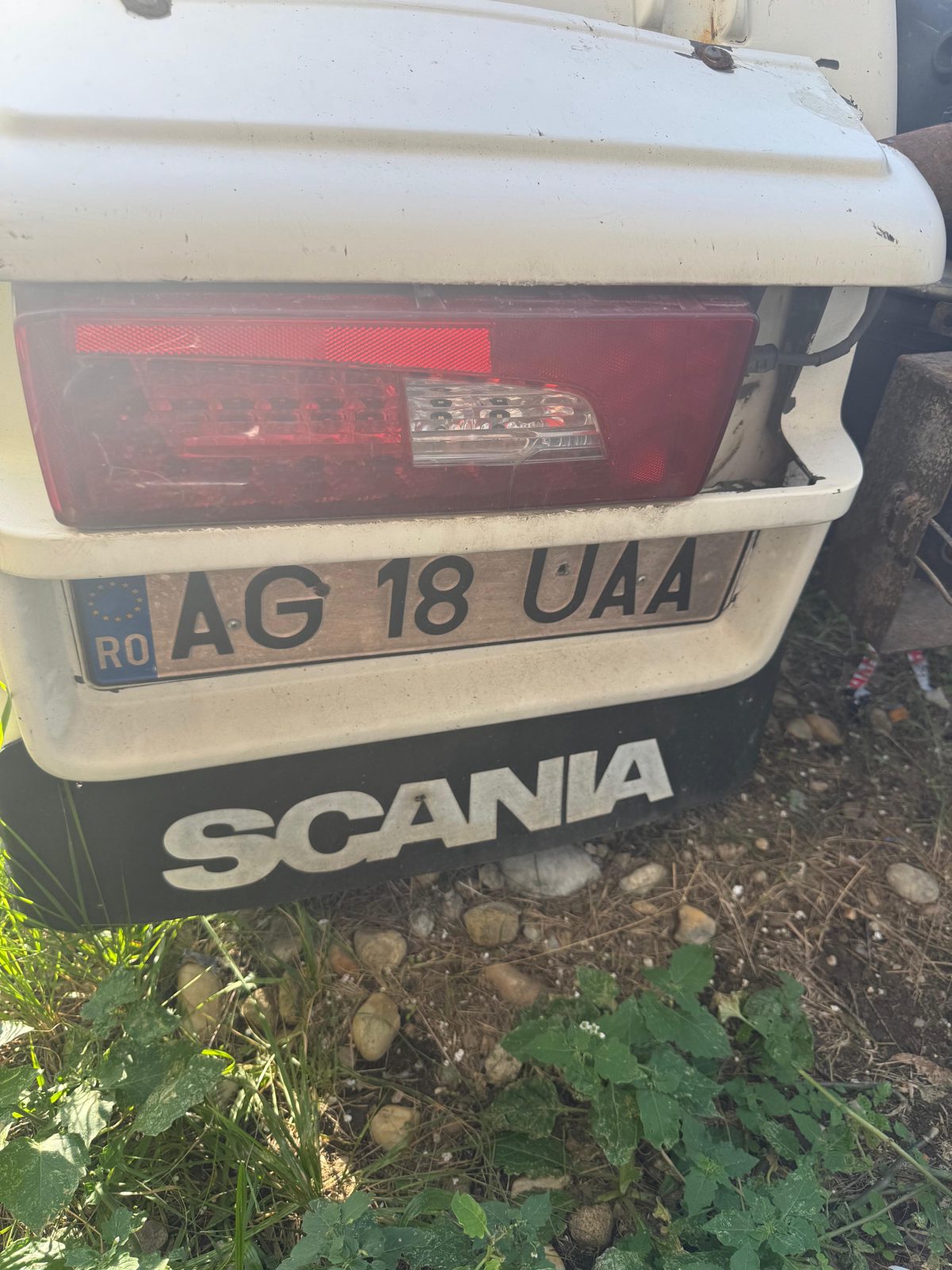 Miniatură 10