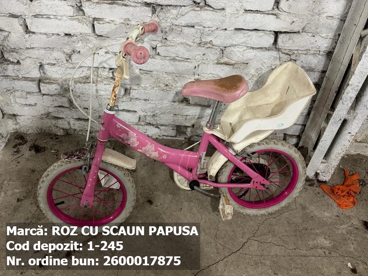 Bicicleta Roz 1