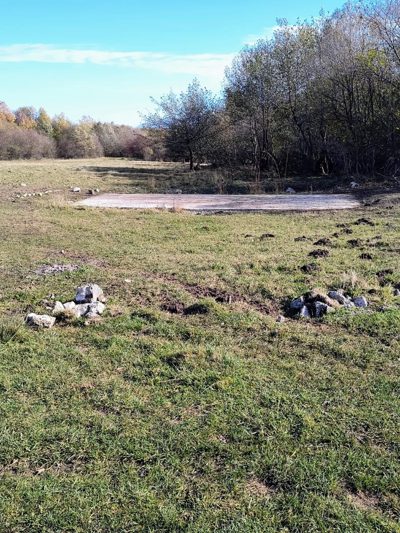 Faneata -Zărneşti