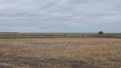 Teren agricol - EXTRAVILAN in suprafata de 20359 MP