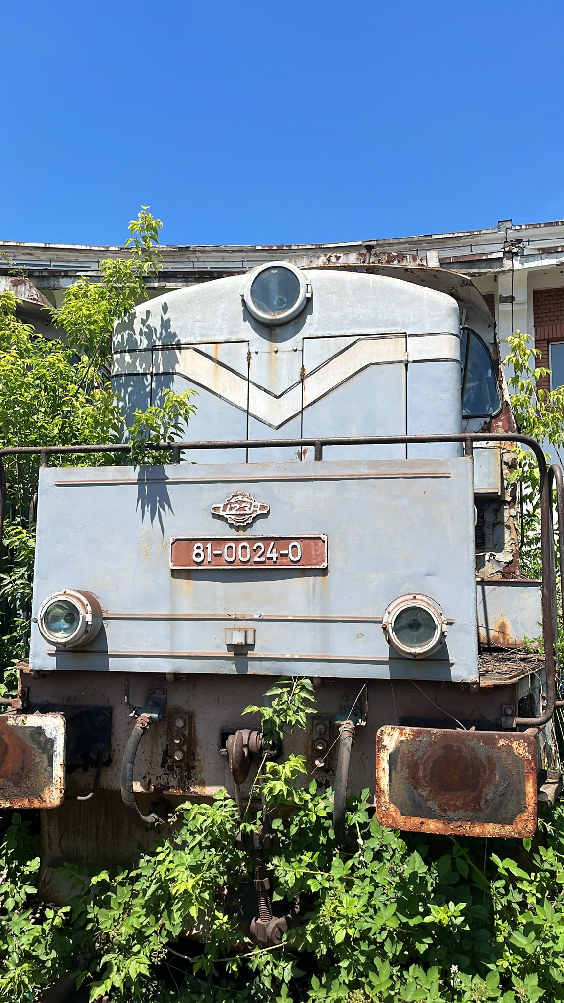 Miniatură 2