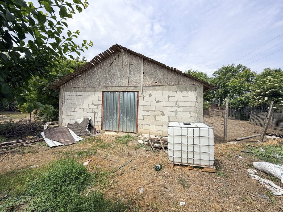 Miniatură 2