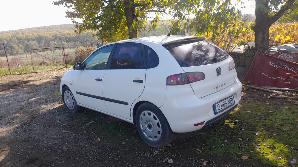 Miniatură 3