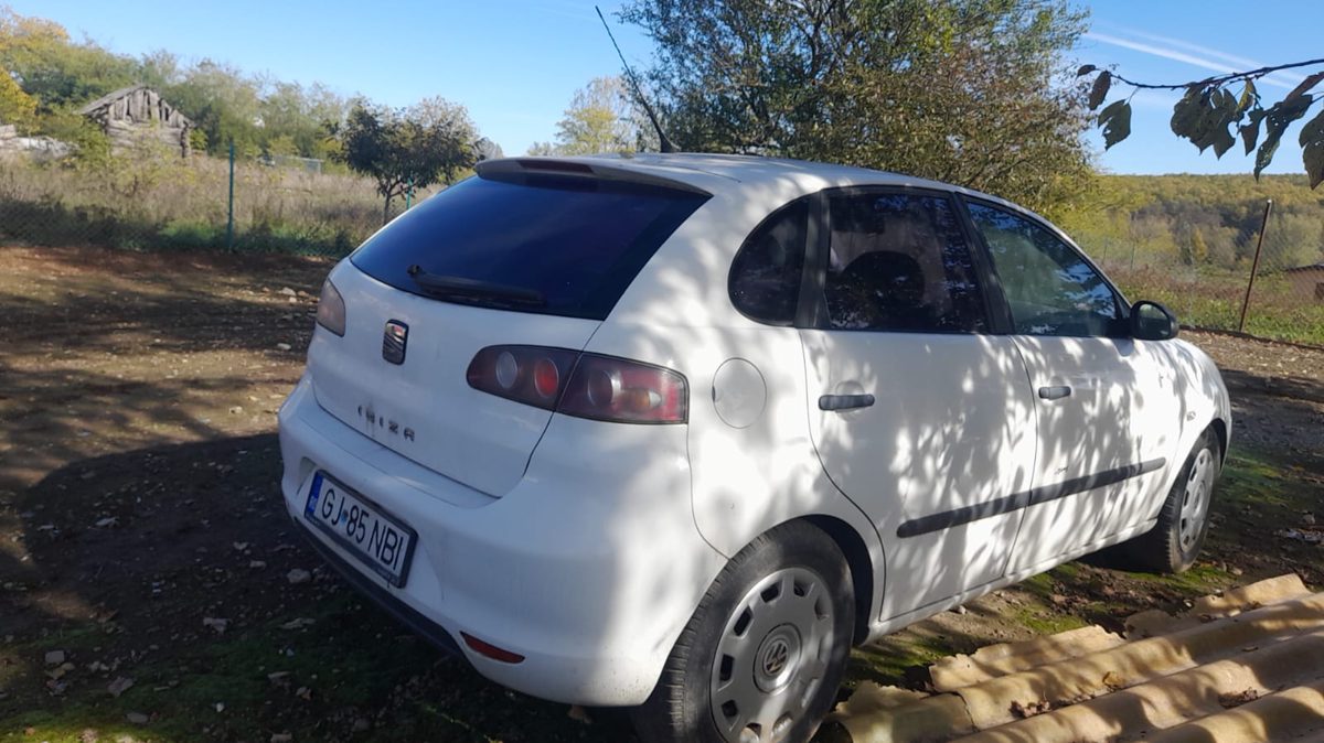 Miniatură 4