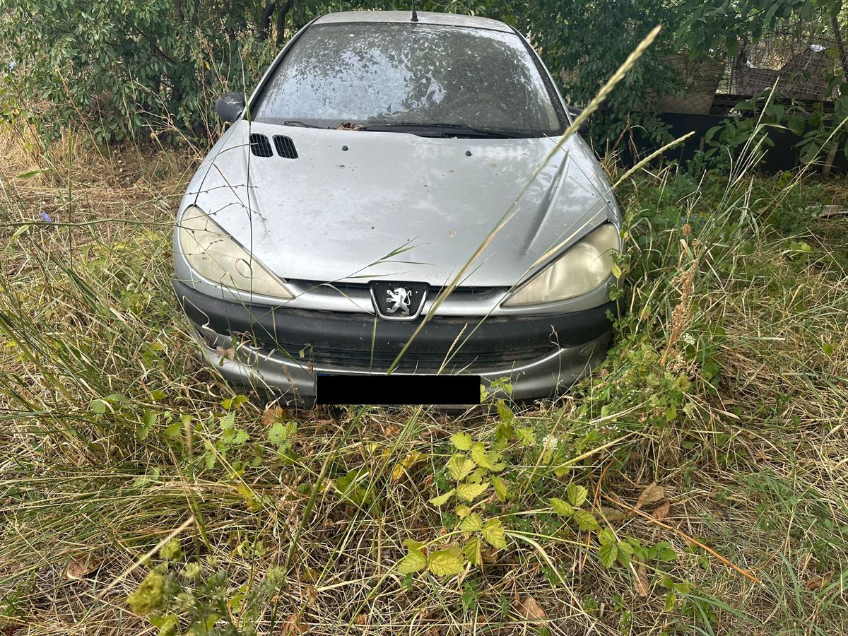 Autoturism marca Peugeot model 206 1