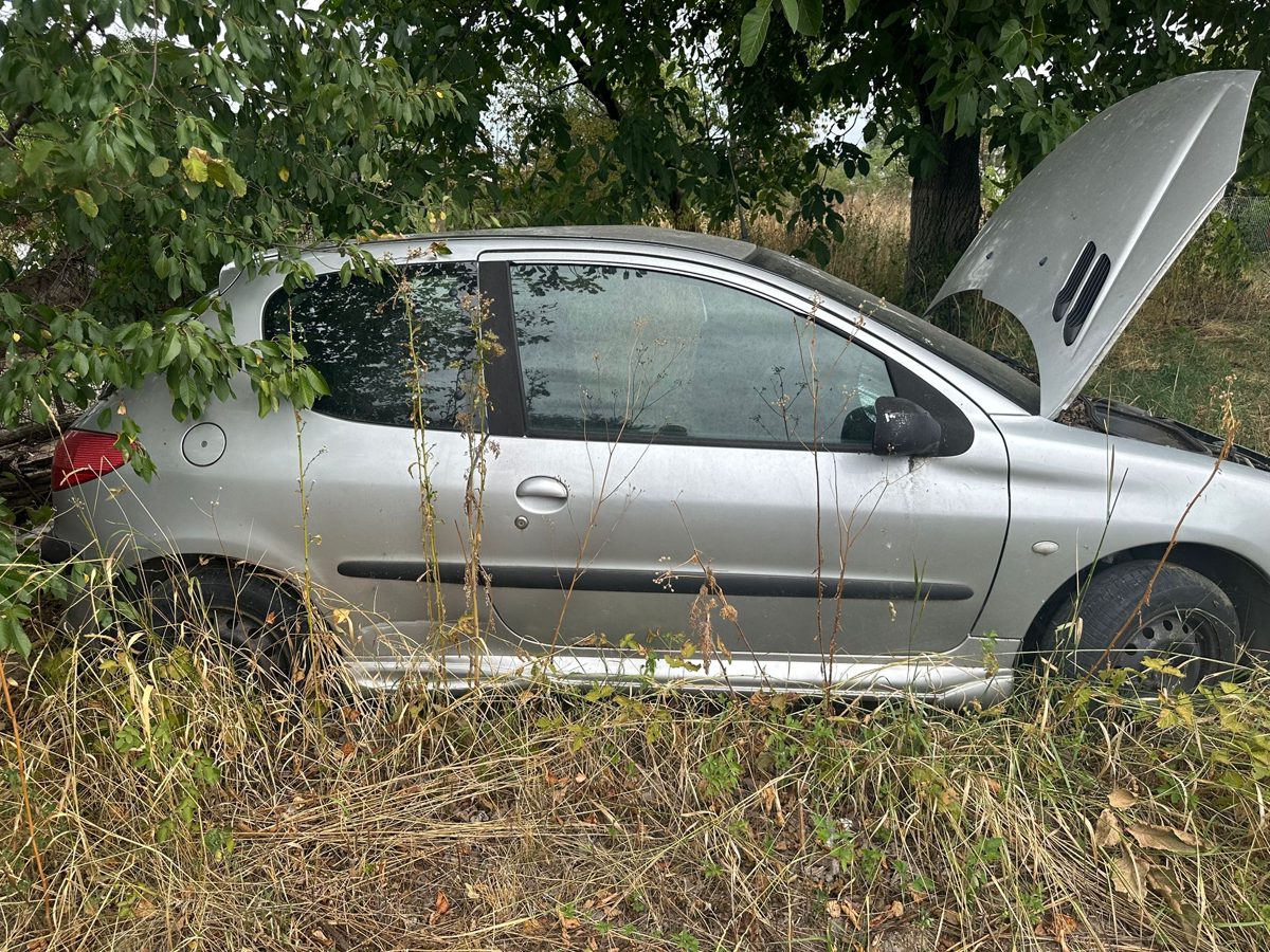Miniatură 12