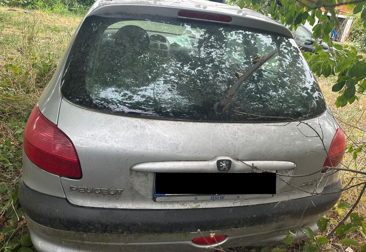 Miniatură 3
