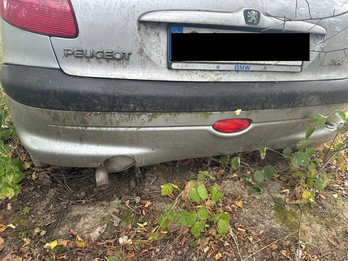 Miniatură 4